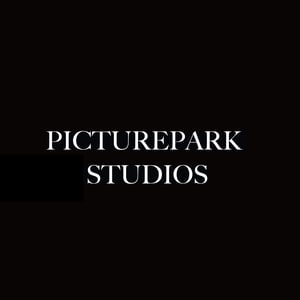 Picturepark Studios